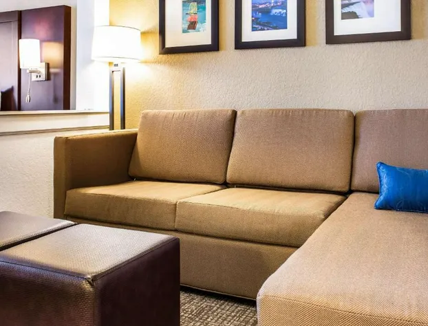 Comfort Inn & Suites Niagara Falls Blvd USA hotel detail image 3