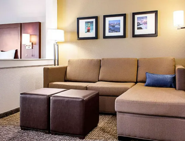 Comfort Inn & Suites Niagara Falls Blvd USA hotel detail image 2
