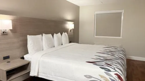 Red Roof Inn & Suites Swansea hotel detail image 2