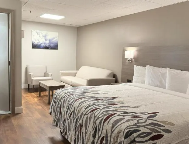 Red Roof Inn & Suites Swansea hotel detail image 3