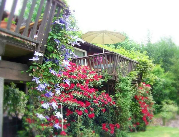 Misty Valley Inn B&B hotel detail image 4