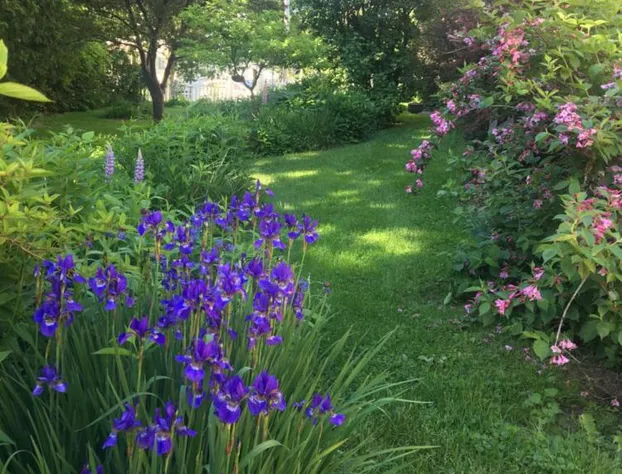Back Inn Time Bed & Breakfast hotel detail image 4