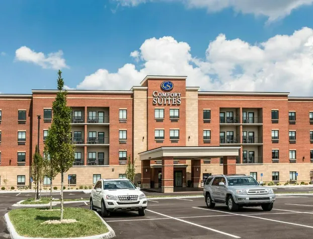 Comfort Suites Florence - Cincinnati South hotel detail image 3