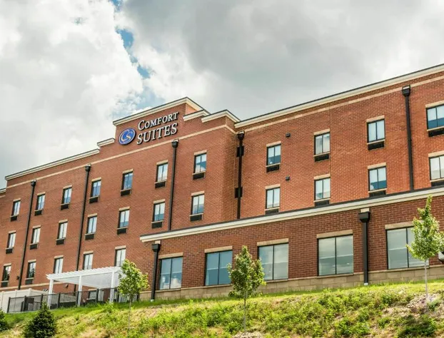 Comfort Suites Florence - Cincinnati South hotel detail image 4