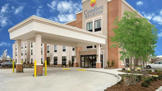 Comfort Inn & Suites hotel detail image 1