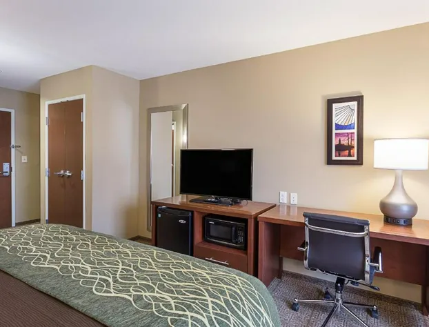 Comfort Inn & Suites Zachary hotel detail image 1