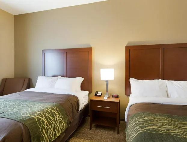 Comfort Inn & Suites Zachary hotel detail image 2