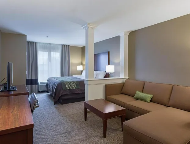 Comfort Inn & Suites Zachary hotel detail image 4