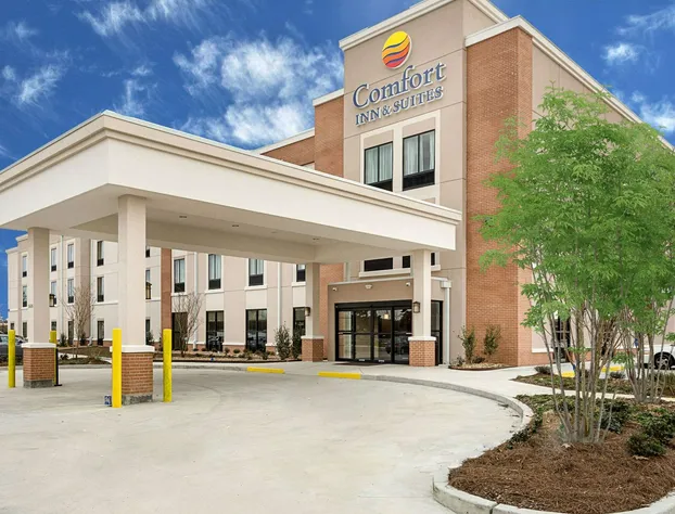 Comfort Inn & Suites Zachary hotel detail image 2