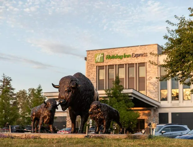 Holiday Inn Express Grand Island - Niagara Falls by IHG hotel detail image 1