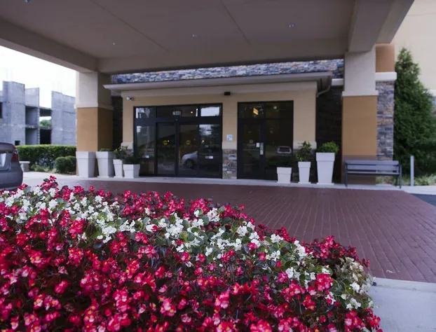 Holiday Inn Express Hotel & Suites Atlanta East - Lithonia by IHG hotel detail image 2