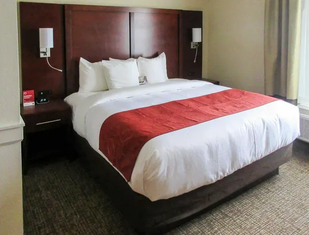 Comfort Suites Kyle hotel detail image 3