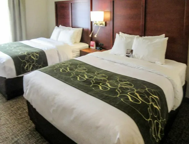 Comfort Suites Kyle hotel detail image 4