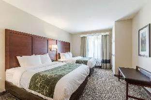 Comfort Suites Kyle hotel detail image 3