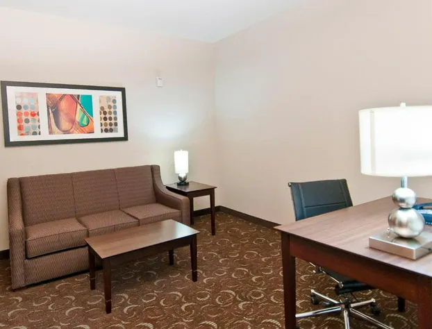 Holiday Inn Express & Suites San Antonio - Frost Bank Ctr hotel detail image 3