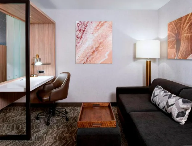 Springhill Suites Grand Rapids West hotel detail image 4