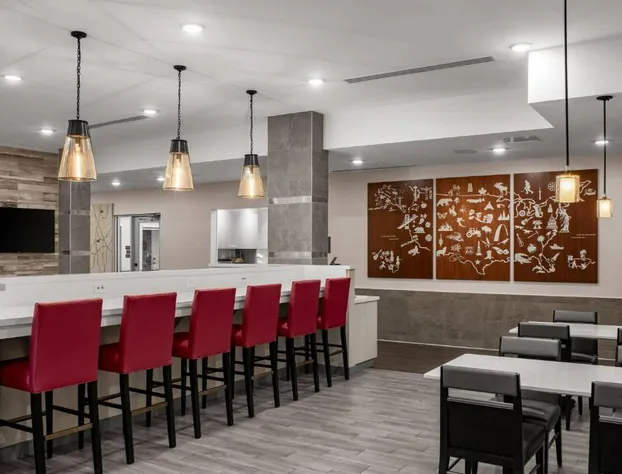 TownePlace Suites by Marriott Charlotte Fort Mill hotel detail image 3