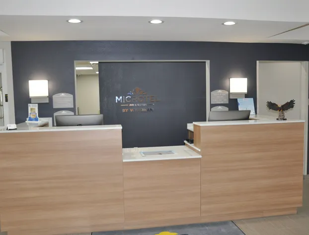 Microtel Inn & Suites by Wyndham Lubbock hotel detail image 3