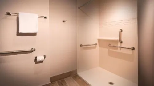 Aiden by Best Western Warm Springs Hotel and Event Center hotel detail image 3