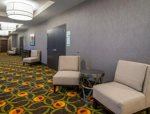 Holiday Inn New Orleans Airport North by IHG hotel detail image 4