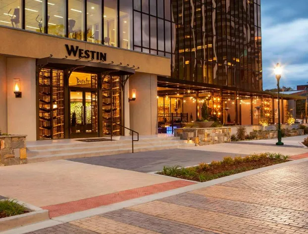 The Westin Chattanooga hotel detail image 1