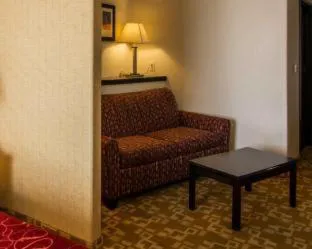 Comfort Suites West Dallas - Cockrell Hill hotel detail image 4