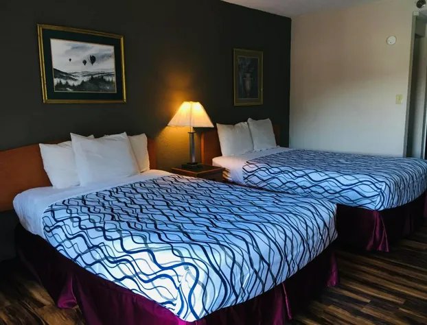 Bear Mount Inn & Suites hotel detail image 4