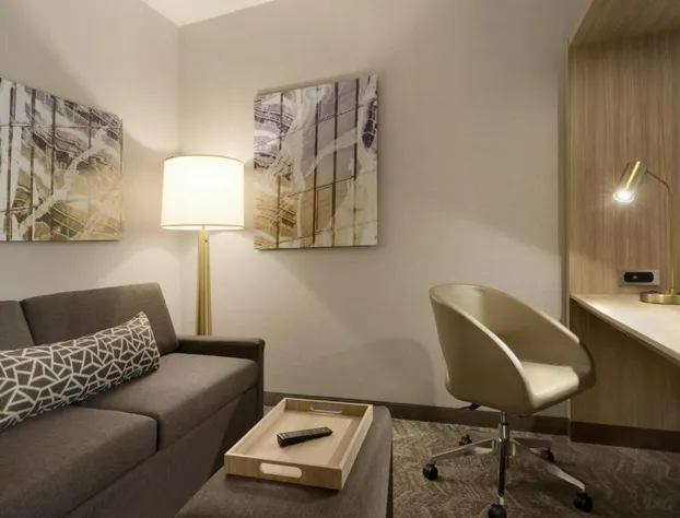 SpringHill Suites by Marriott Allentown Bethlehem/Center Valley hotel detail image 3