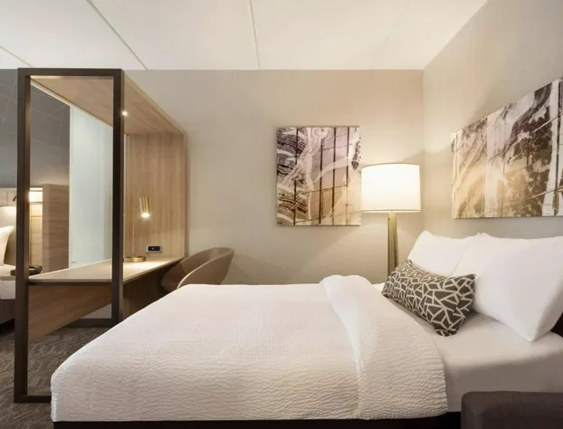 SpringHill Suites by Marriott Allentown Bethlehem/Center Valley hotel detail image 4