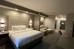 Wyndham Garden Katy Energy Corridor hotel detail image 2