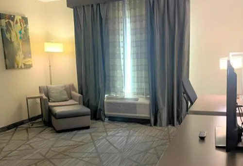 Comfort Inn & Suites Houston I-45 North IAH hotel detail image 1