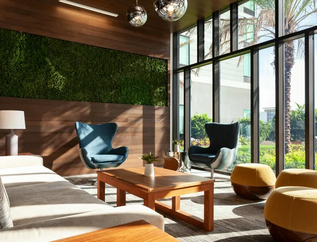 SpringHill Suites by Marriott Orlando at Millenia hotel detail image 2