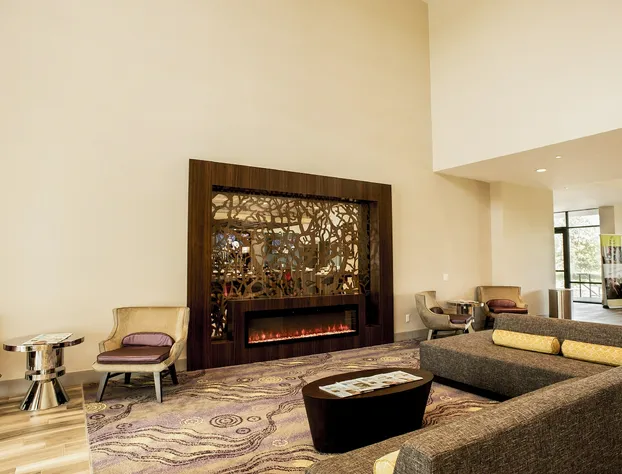 Holiday Inn & Suites - Joliet Southwest by IHG hotel detail image 3