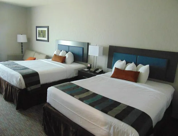 Wingate by Wyndham Lubbock near Texas Tech Univ. Medical Ctr hotel detail image 3