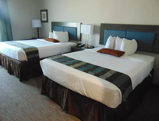 Wingate by Wyndham Lubbock near Texas Tech Univ. Medical Ctr hotel detail image 4