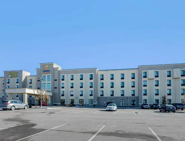 Comfort Suites Near Denver Downtown hotel detail image 2