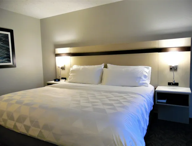 Holiday Inn Bloomington - Normal by IHG hotel detail image 4