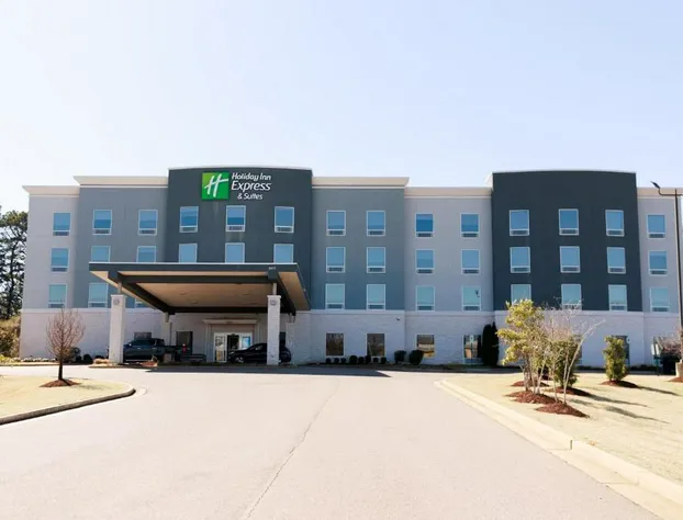 Holiday Inn Express & Suites Memphis Arpt Elvis Presley Blv by IHG hotel detail image 2