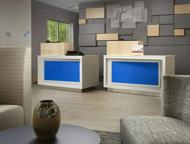 Holiday Inn Express & Suites San Antonio North - Windcrest by IHG hotel detail image 3