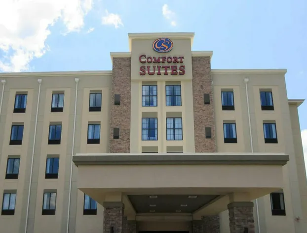 Comfort Suites Piedmont - Greenville South hotel detail image 1