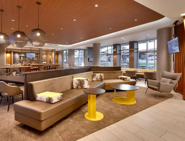 SpringHill Suites by Marriott Coralville hotel detail image 4