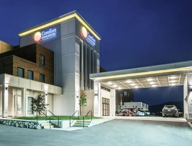 Comfort Inn & Suites hotel detail image 1