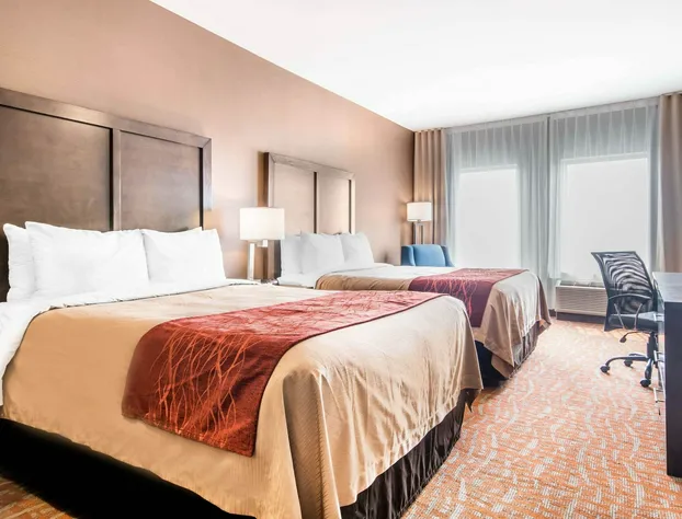 Comfort Inn & Suites hotel detail image 4