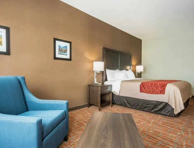 Comfort Inn & Suites hotel detail image 4