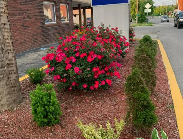 Budget Inn Express hotel detail image 3