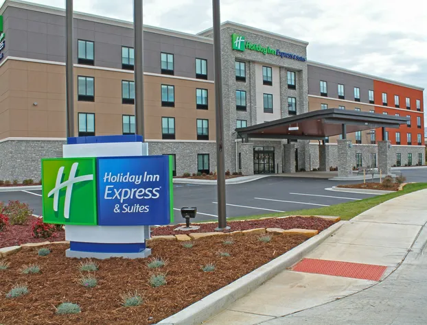 Holiday Inn Express & Suites St. Louis South - I-55 by IHG hotel detail image 3