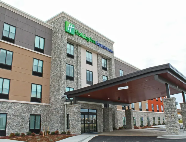 Holiday Inn Express & Suites St. Louis South - I-55 by IHG hotel detail image 1