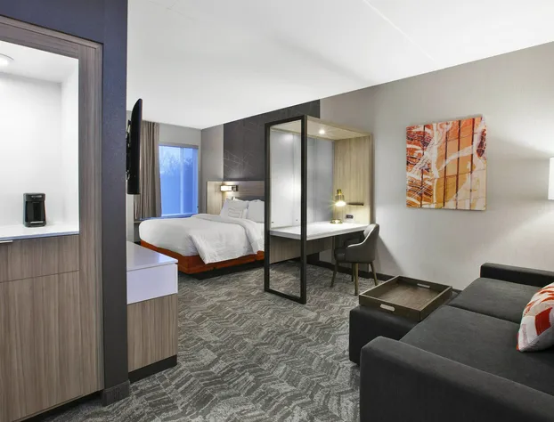 SpringHill Suites by Marriott Chattanooga North/Ooltewah hotel detail image 4