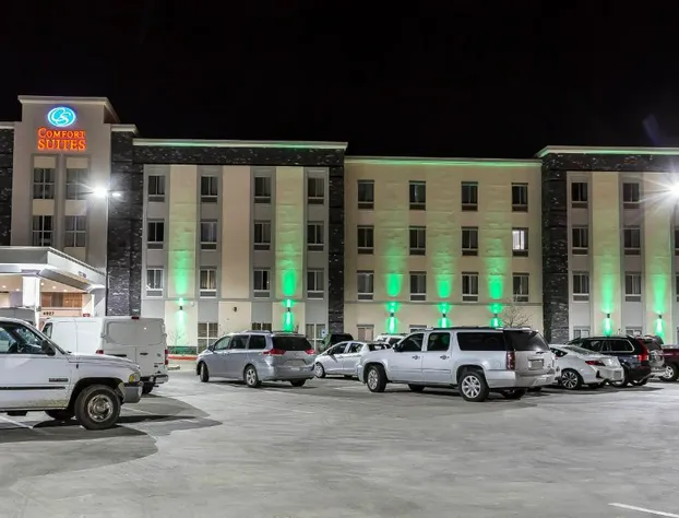 Comfort Suites University hotel detail image 3