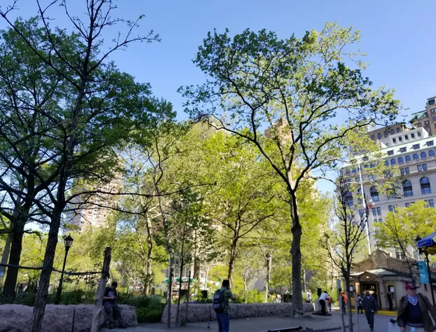 Hilton Garden Inn NYC Financial Center/Manhattan Downtown hotel detail image 3